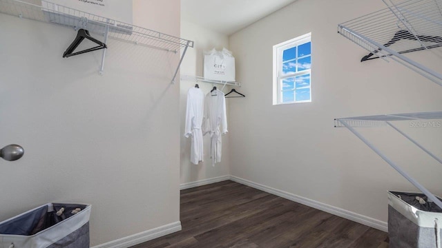 spacious closet with dark wood-style flooring