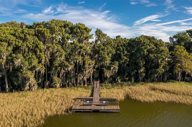 dock area with a water view and a view of trees