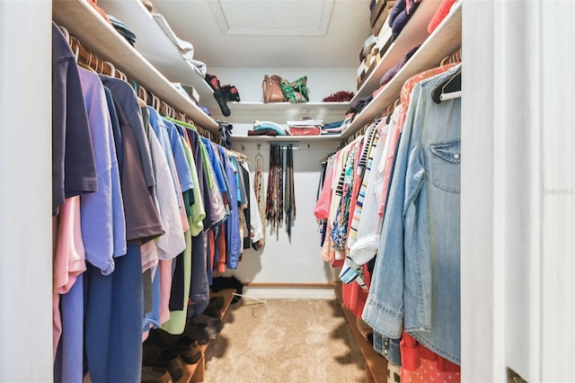 spacious closet featuring attic access and light carpet