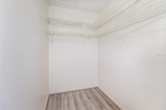 spacious closet featuring light wood finished floors