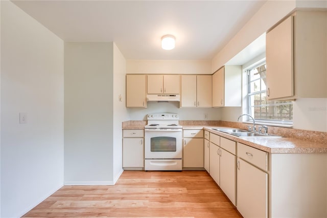 kitchen with a sink, electric stove, cream cabinetry, light countertops, and light wood-type flooring