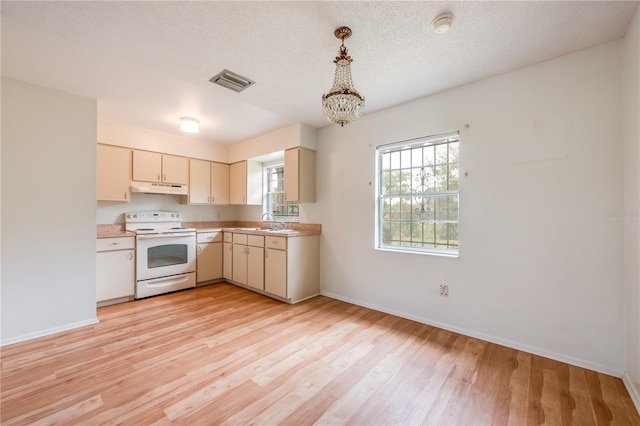 kitchen featuring white appliances, light wood finished floors, visible vents, cream cabinetry, and under cabinet range hood