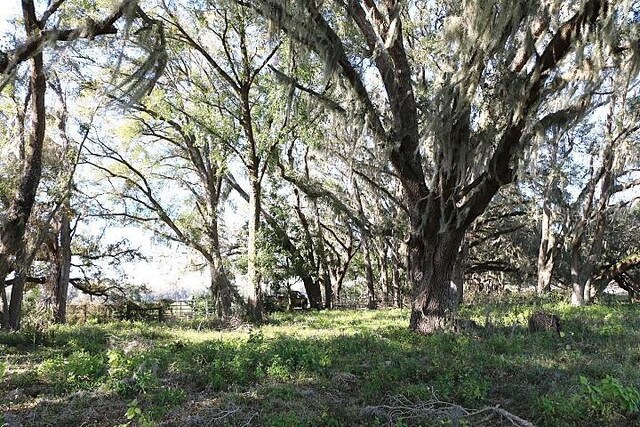 Crk 48, Bushnell, FL 33513