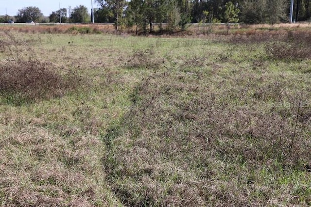 Crk 48, Bushnell, FL 33513