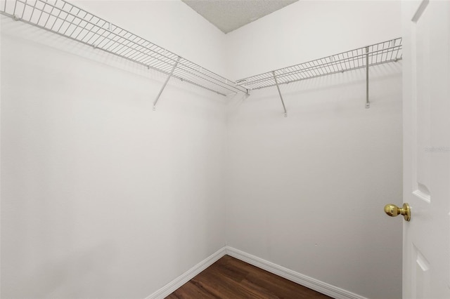 spacious closet featuring dark wood finished floors