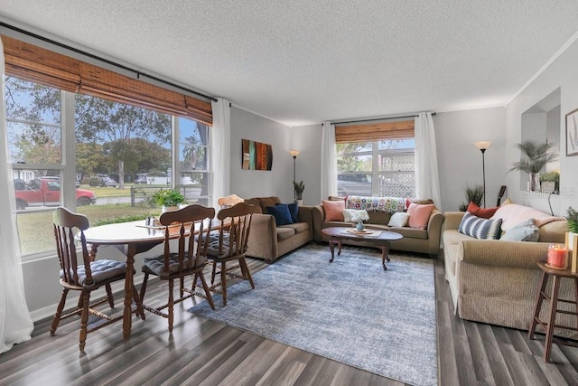 living area with a textured ceiling and dark wood-style flooring