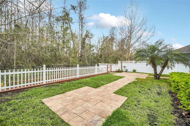 view of yard with a patio and a fenced backyard