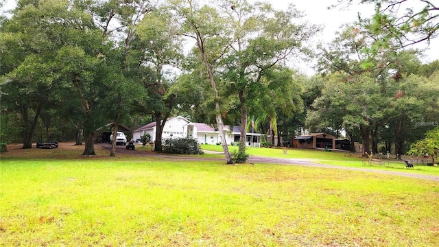 view of yard with a carport