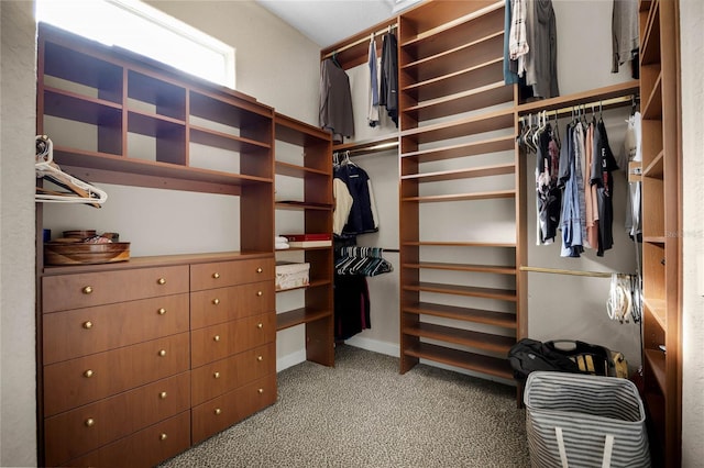 walk in closet with light colored carpet