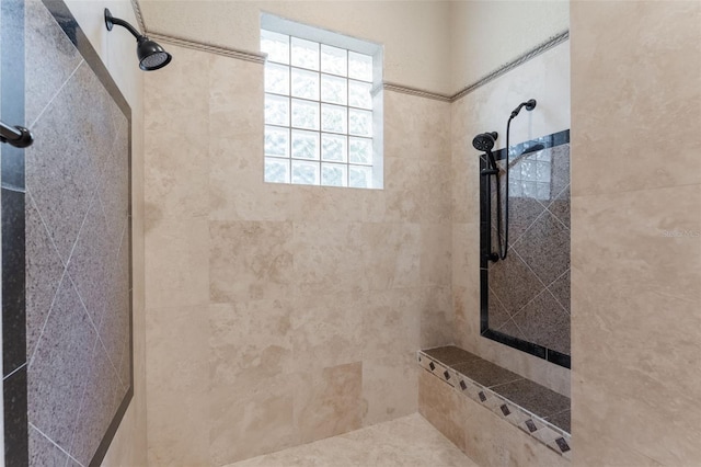 8814 Southern Breeze Dr, Orlando, FL 32836 - bathroom with tiled shower