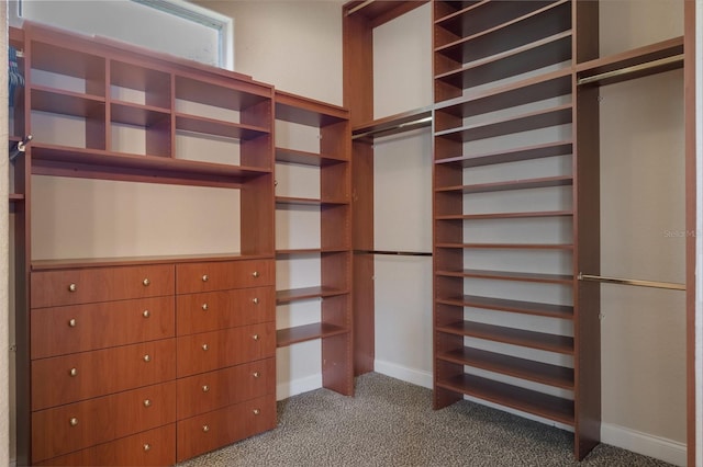 8814 Southern Breeze Dr, Orlando, FL 32836 - walk in closet with dark colored carpet