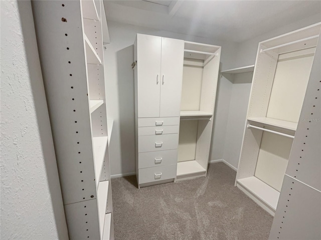 spacious closet with dark colored carpet