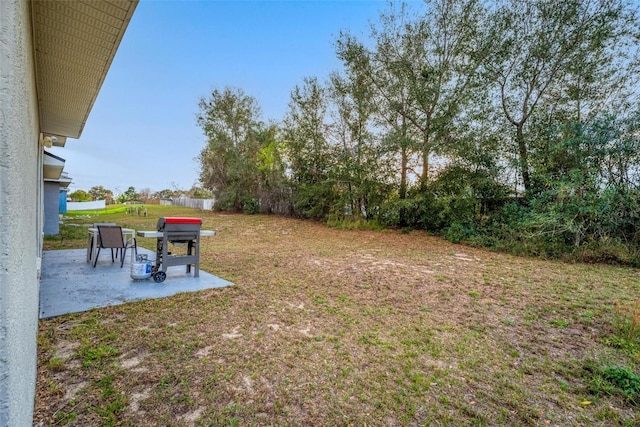 view of yard with a patio