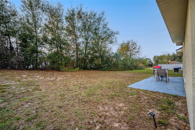 view of yard featuring a patio