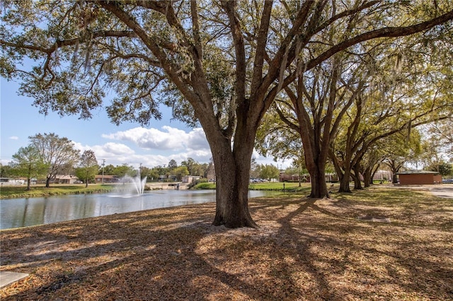 view of yard with a water view