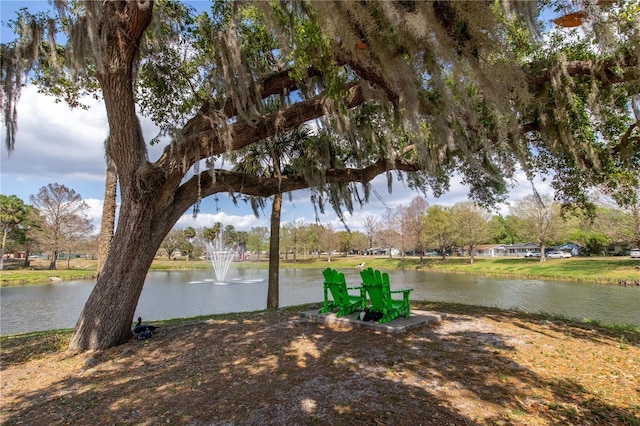 property view of water