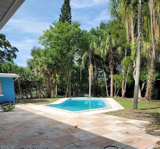 1907 Rockwell Rd, Orlando, FL 32808 - photo 13