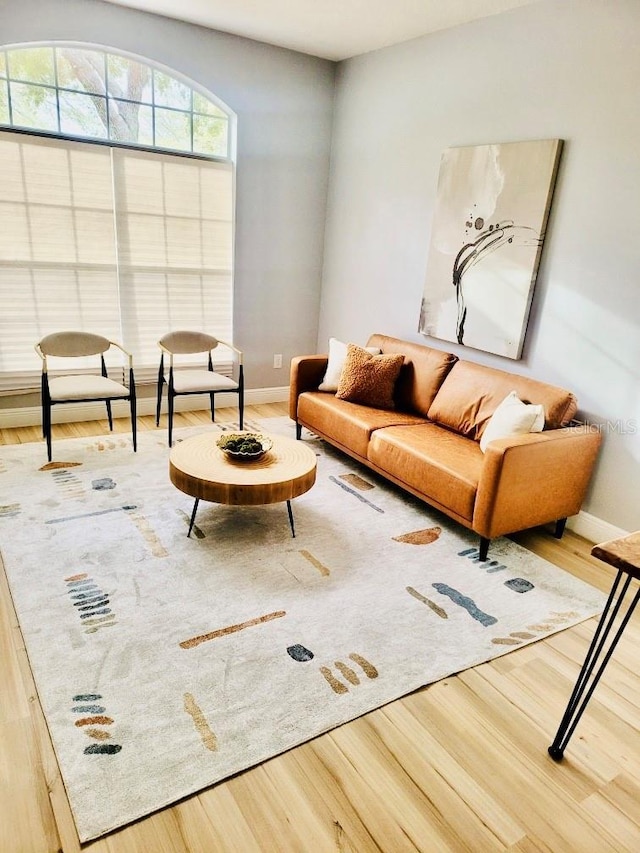 living room featuring baseboards and wood finished floors