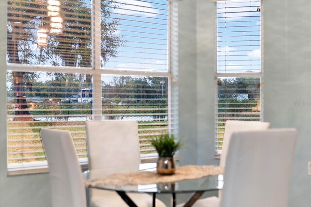 dining area featuring a healthy amount of sunlight