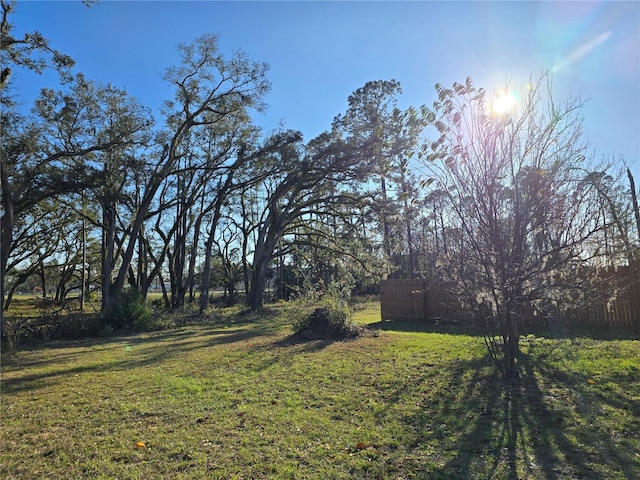 view of yard