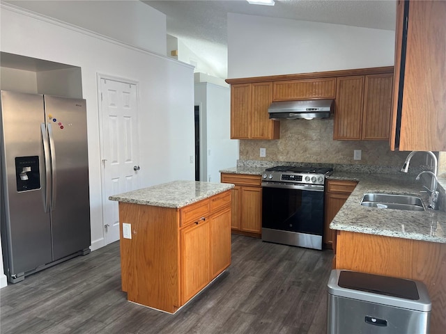 kitchen with appliances with stainless steel finishes, dark wood-type flooring, vaulted ceiling, a sink, and ventilation hood