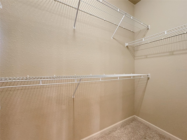 spacious closet with carpet floors