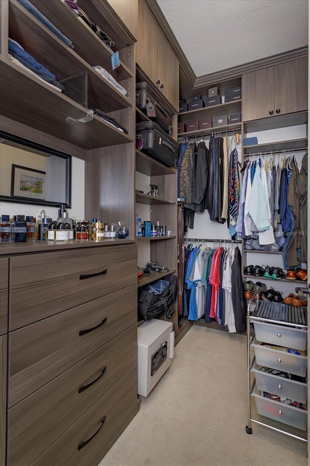 5719 Emerson Pointe Way, Orlando, FL 32819 - walk in closet featuring light colored carpet