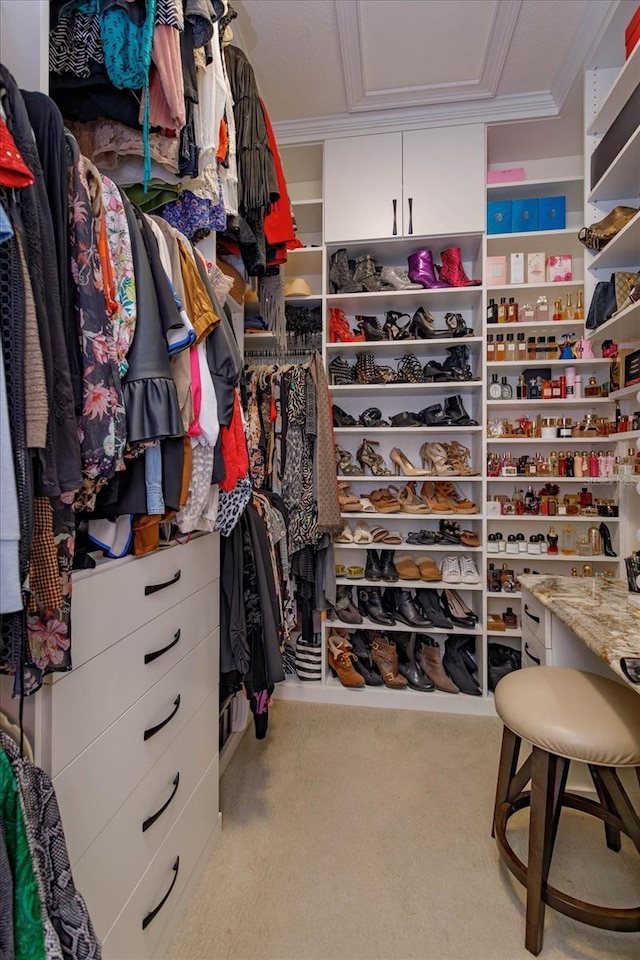 5719 Emerson Pointe Way, Orlando, FL 32819 - walk in closet with carpet floors