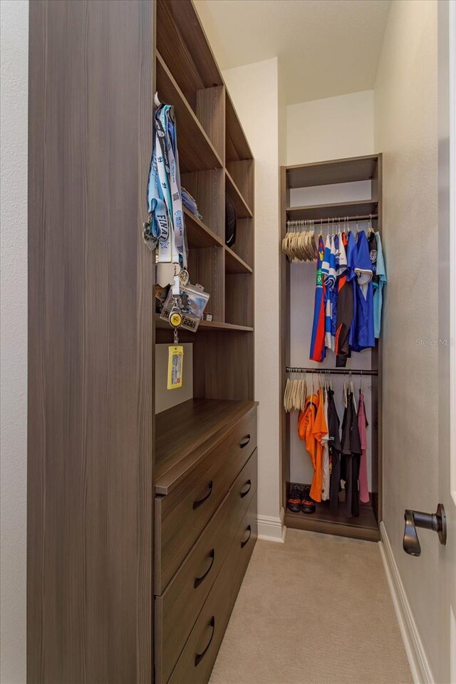 5719 Emerson Pointe Way, Orlando, FL 32819 - spacious closet featuring light colored carpet