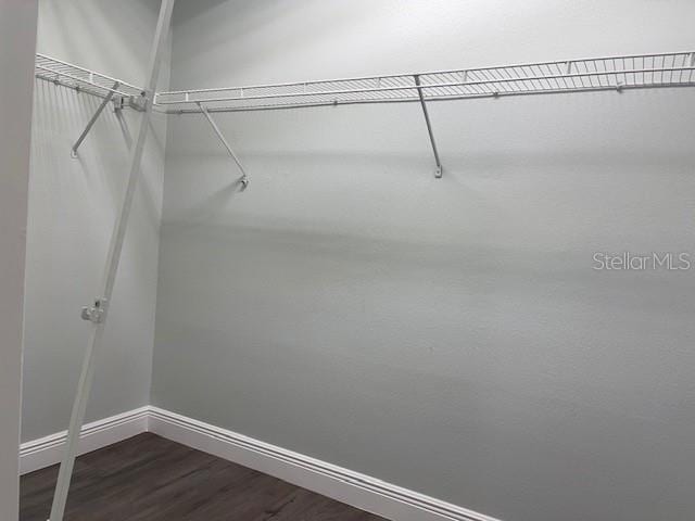 walk in closet featuring dark wood finished floors