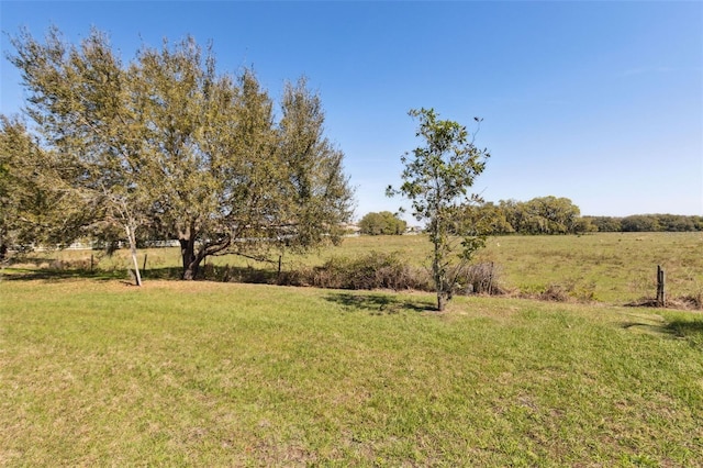 view of yard with a rural view