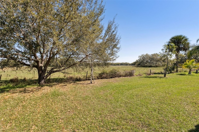 view of yard featuring a rural view