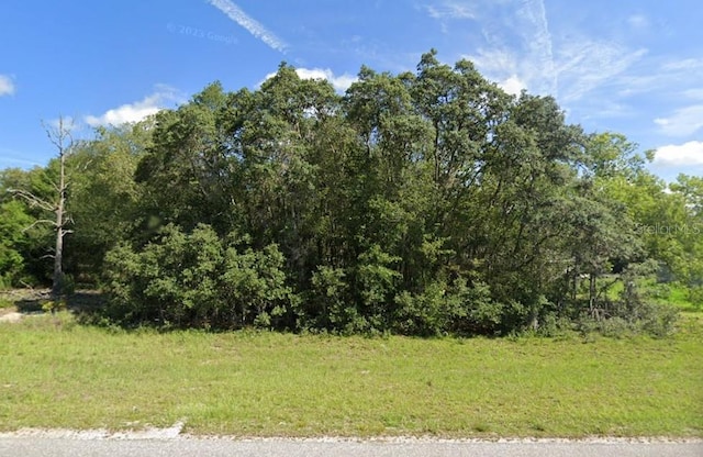 00 Malauka Rd Unit 40, Ocklawaha FL, 32179 land for sale