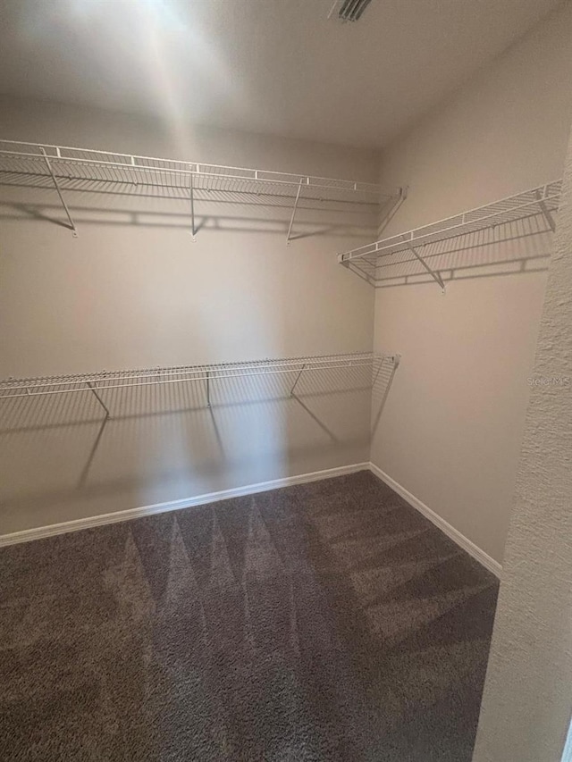 137 Willow Dr, Kissimmee, FL 34759 - spacious closet with carpet