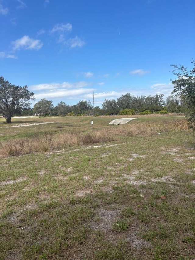 137 Willow Dr, Kissimmee, FL 34759 - view of yard