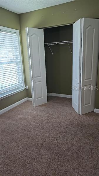 2019 Dixie Belle Dr Unit 2019O, Orlando, FL 32812 - view of closet