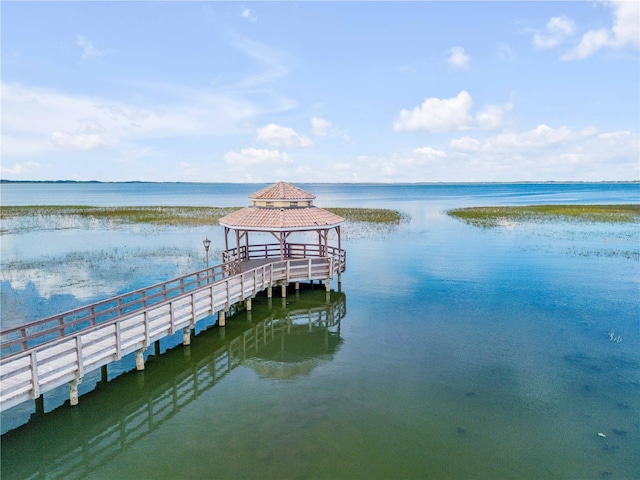 dock area with a water view