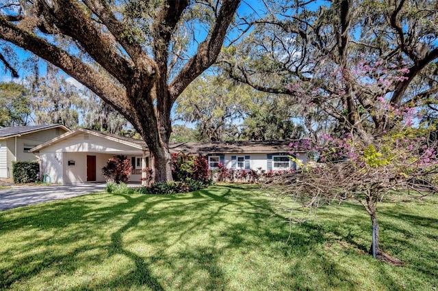 ranch-style home featuring driveway, a front lawn, and a carport