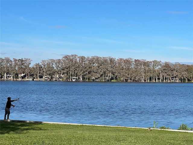 view of water feature