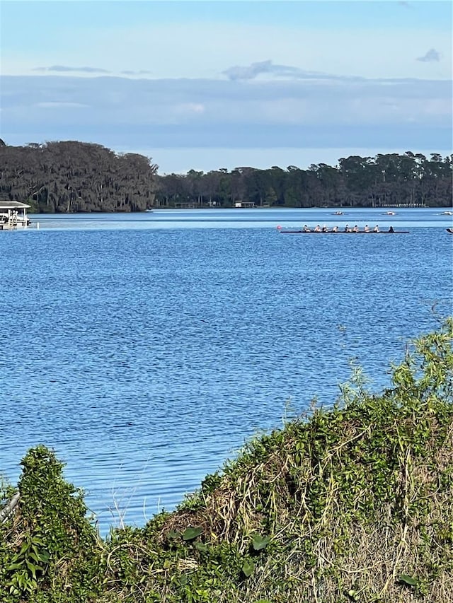 property view of water with a view of trees