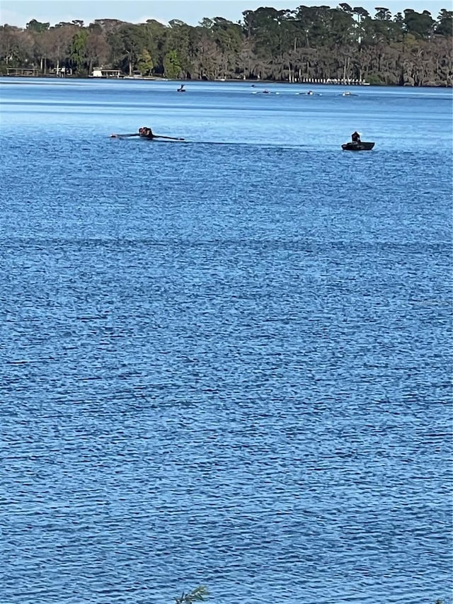 property view of water featuring a view of trees