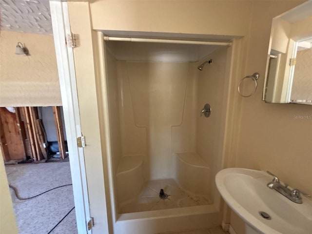 bathroom with a shower stall and a sink