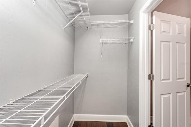 walk in closet with wood finished floors