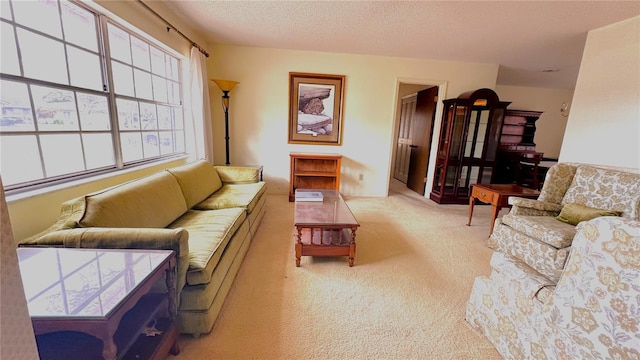 living area with light carpet and a textured ceiling