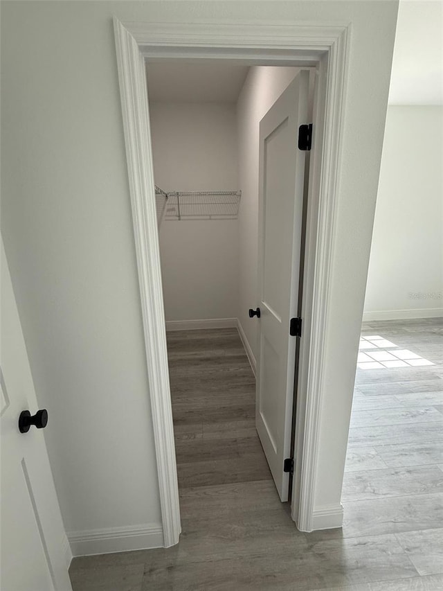 walk in closet with light wood-style floors