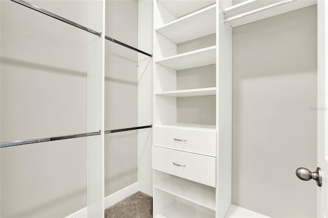 spacious closet with carpet flooring