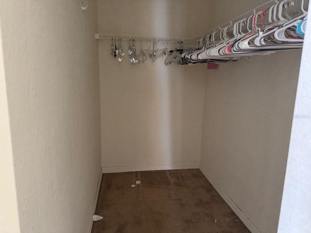 view of walk in closet