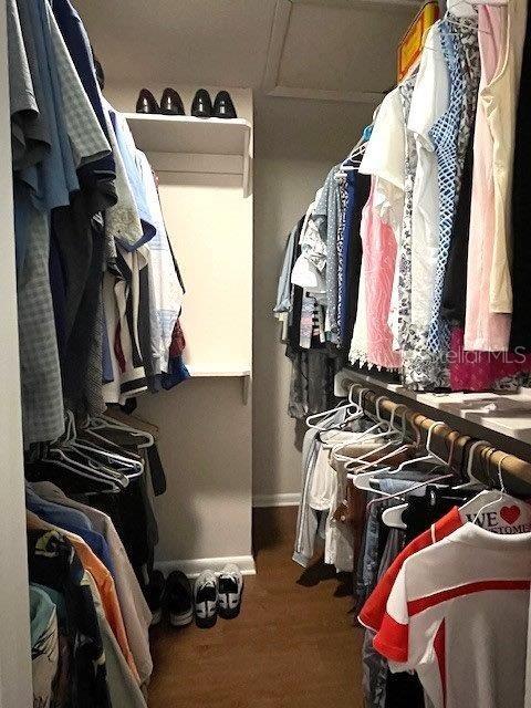 walk in closet featuring wood finished floors