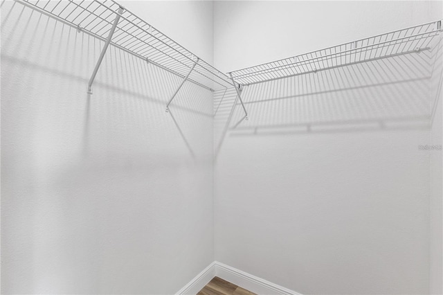 spacious closet featuring wood finished floors