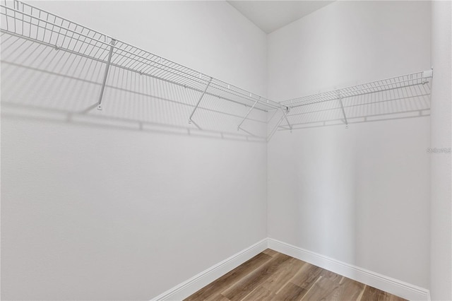 walk in closet with wood finished floors